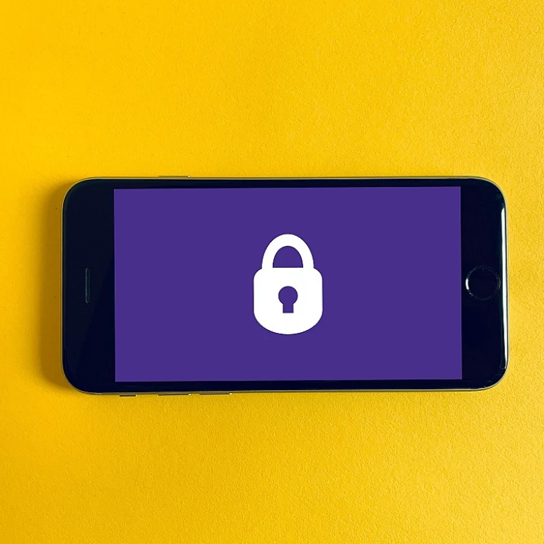 Navigating the Complexities of Software Development Contracts