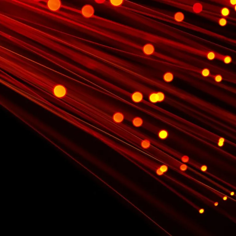 Latest trends and updates in case management software